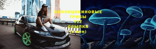 МДПВ Заволжск