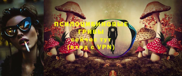 МДПВ Заволжск