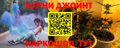 гидра Краснодар