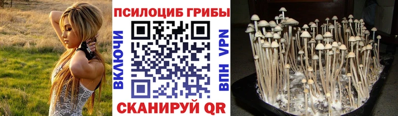 Галлюциногенные грибы ЛСД  цена наркотик  Карпинск 