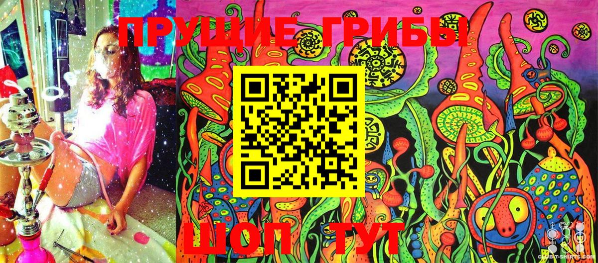 Карпинск  Галлюциногенные грибы Psilocybine cubensis  Вход с VPN 